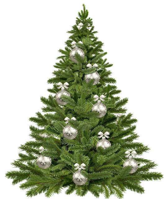 christmas-tree.png